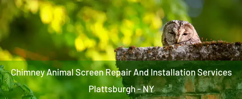  Chimney Animal Screen Repair And Installation Services Plattsburgh - NY