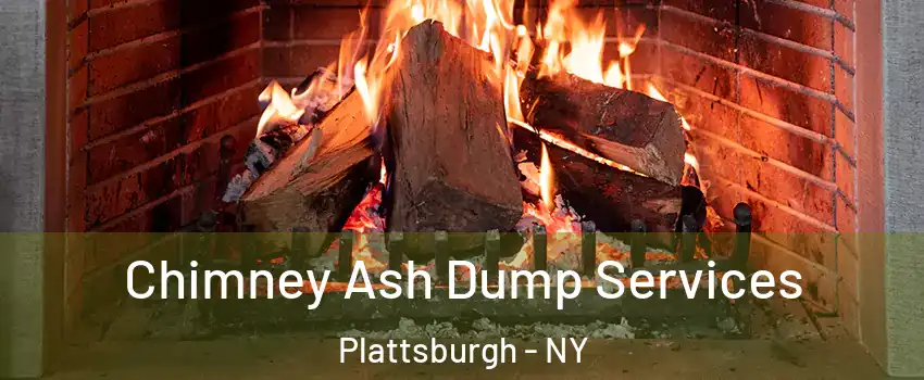  Chimney Ash Dump Services Plattsburgh - NY
