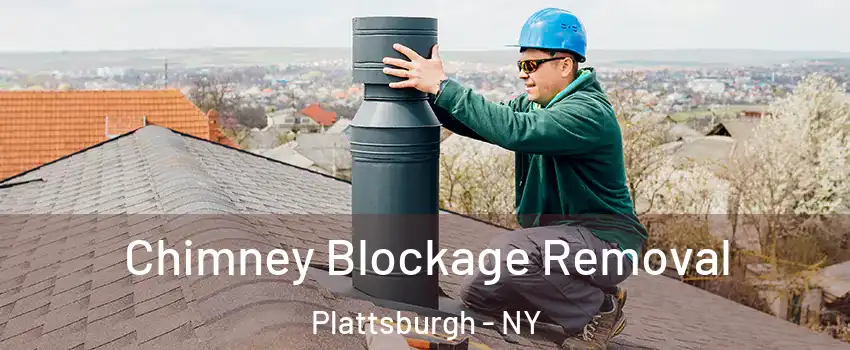  Chimney Blockage Removal Plattsburgh - NY