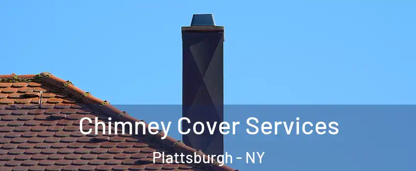 Chimney Cover Services Plattsburgh - NY