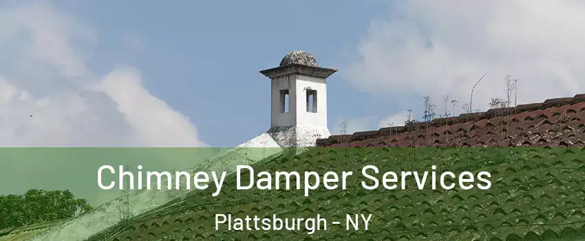  Chimney Damper Services Plattsburgh - NY