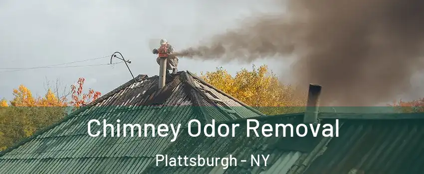  Chimney Odor Removal Plattsburgh - NY