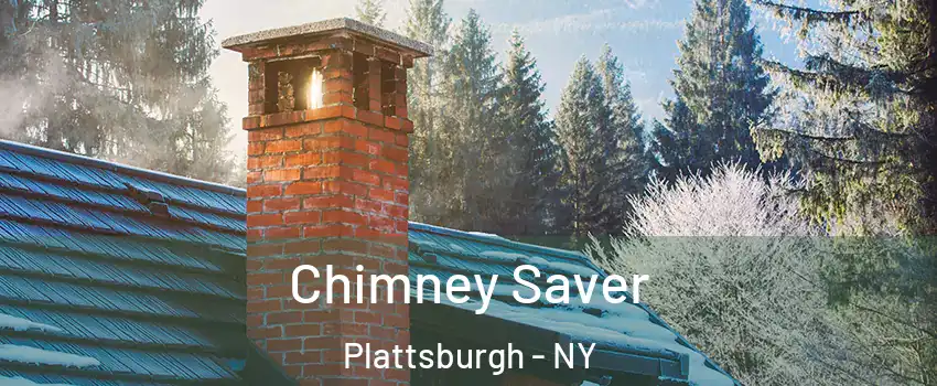  Chimney Saver Plattsburgh - NY