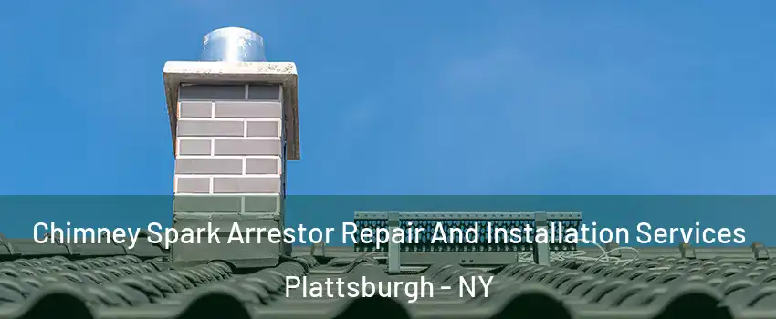  Chimney Spark Arrestor Repair And Installation Services Plattsburgh - NY