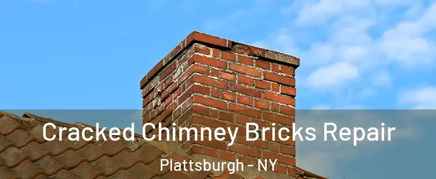  Cracked Chimney Bricks Repair Plattsburgh - NY