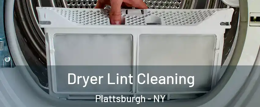  Dryer Lint Cleaning Plattsburgh - NY