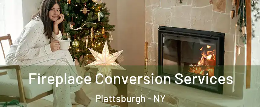  Fireplace Conversion Services Plattsburgh - NY