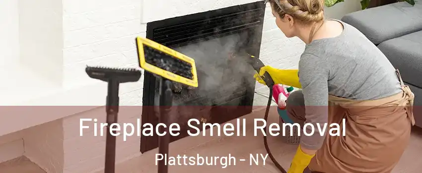  Fireplace Smell Removal Plattsburgh - NY