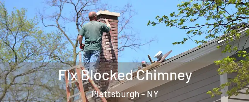  Fix Blocked Chimney Plattsburgh - NY