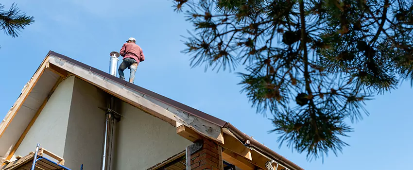 Birds Removal Contractors from Chimney in Plattsburgh, NY