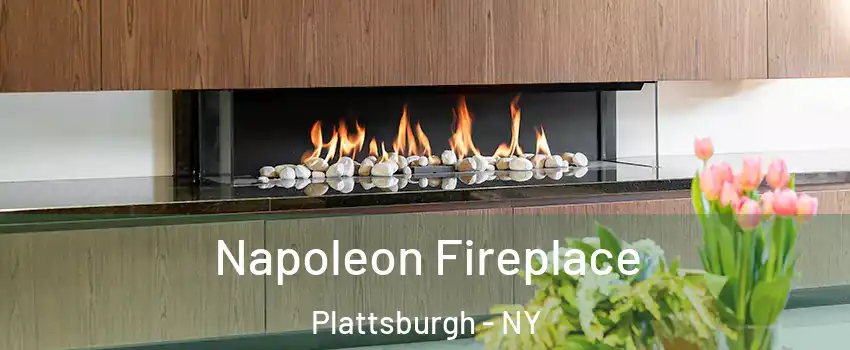  Napoleon Fireplace Plattsburgh - NY