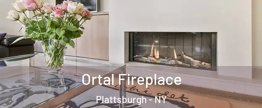  Ortal Fireplace Plattsburgh - NY