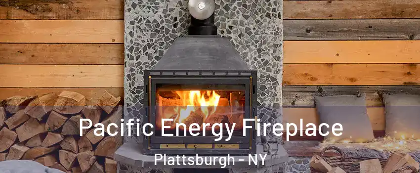  Pacific Energy Fireplace Plattsburgh - NY